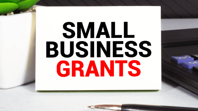 Small Business Startup Grant